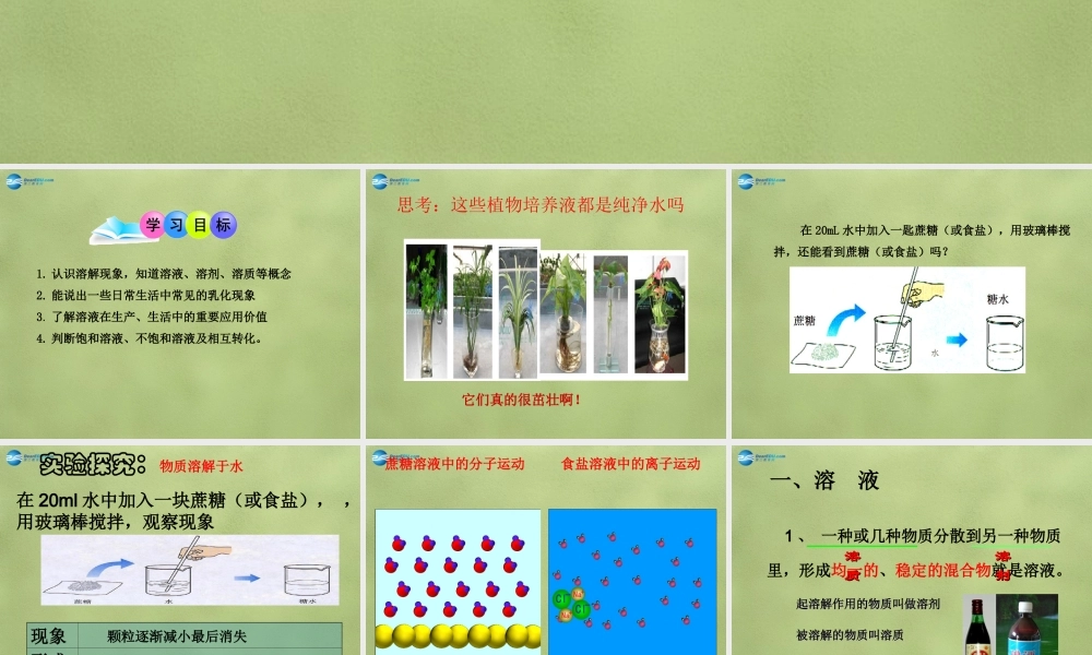 鲁教初中化学九上《3第1节 溶液的形成》PPT课件 (3).ppt