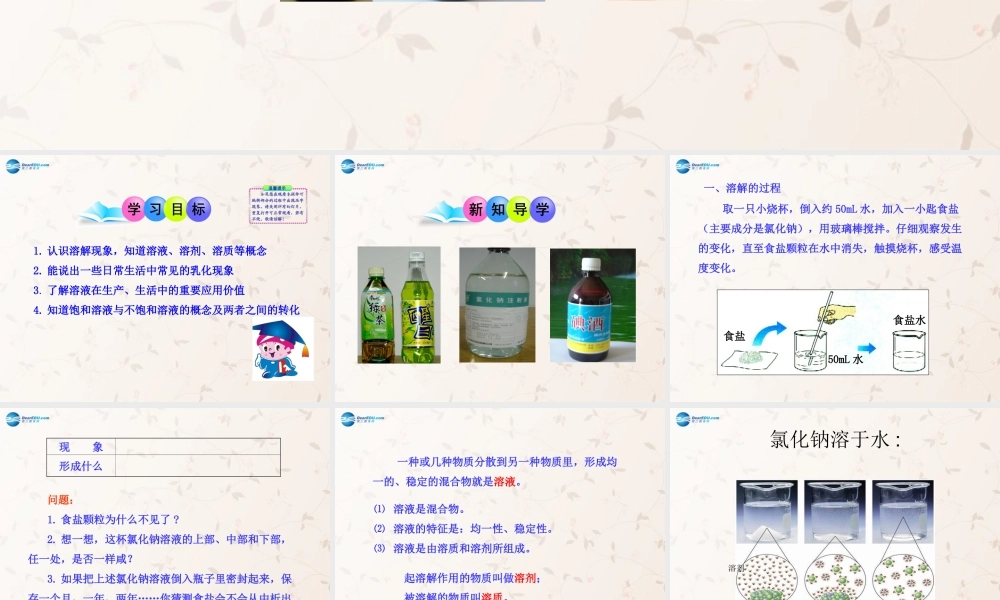 鲁教初中化学九上《3第1节 溶液的形成》PPT课件 (4).ppt