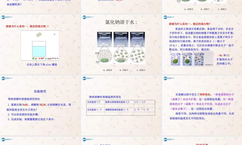 鲁教初中化学九上《3第1节 溶液的形成》PPT课件 (4).ppt