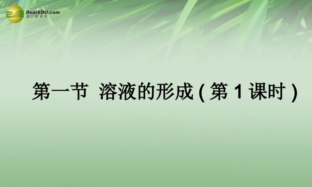 鲁教初中化学九上《3第3单元 溶液》PPT课件 (2).ppt