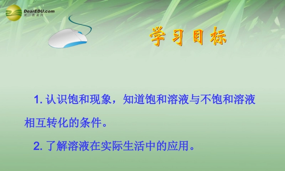 鲁教初中化学九上《3第3单元 溶液》PPT课件 (3).ppt