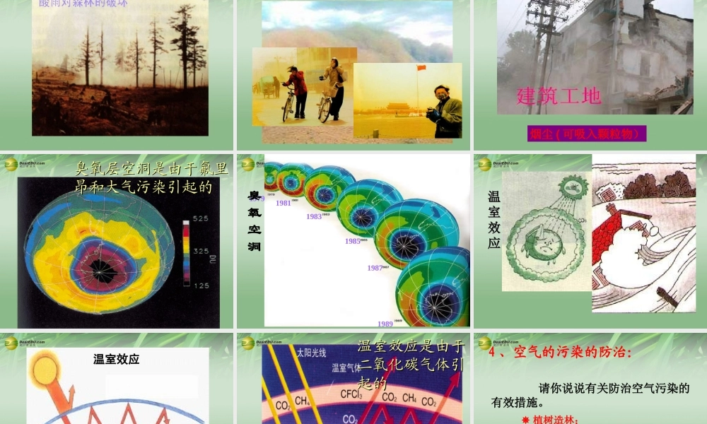 鲁教初中化学九上《4第1节 空气的成分》PPT课件 (2).ppt