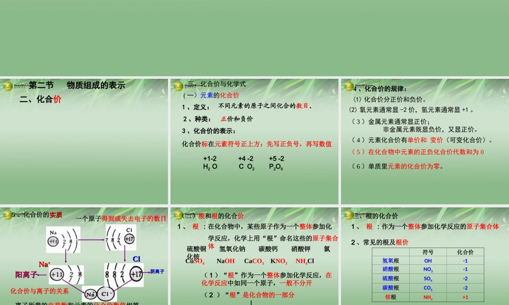 鲁教初中化学九上《4第2节 物质组成的表示》PPT课件 (2).ppt