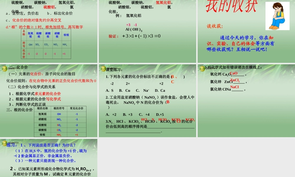 鲁教初中化学九上《4第2节 物质组成的表示》PPT课件 (2).ppt