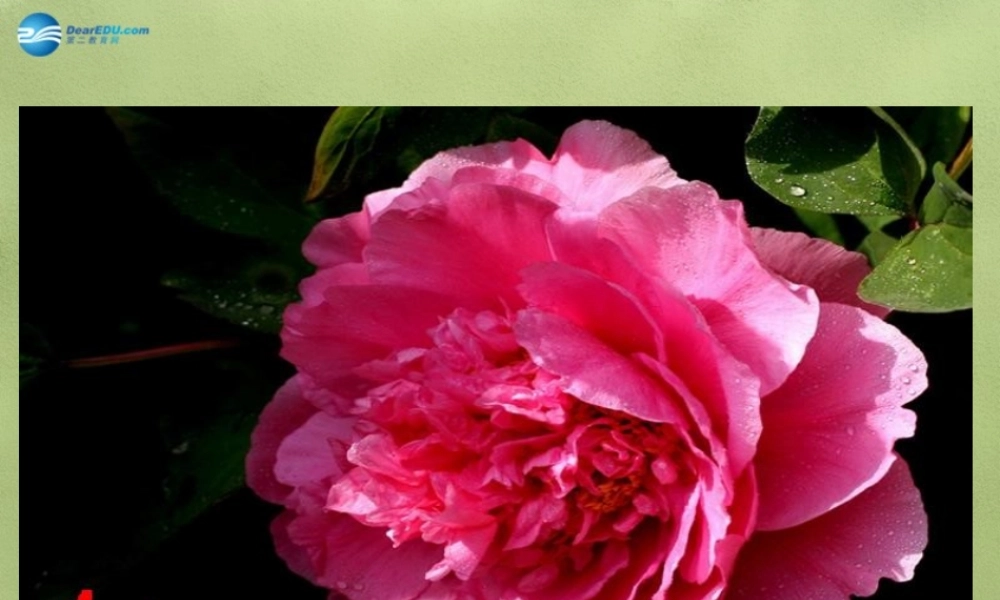 鲁教初中化学九上《4第2节 物质组成的表示》PPT课件 (7).ppt