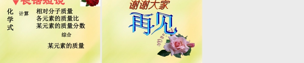 鲁教初中化学九上《4第2节 物质组成的表示》PPT课件 (11).ppt