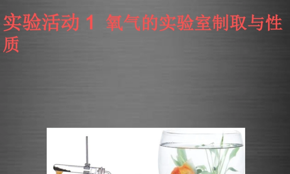 鲁教初中化学九上《4第3节 氧气》PPT课件 (6).ppt