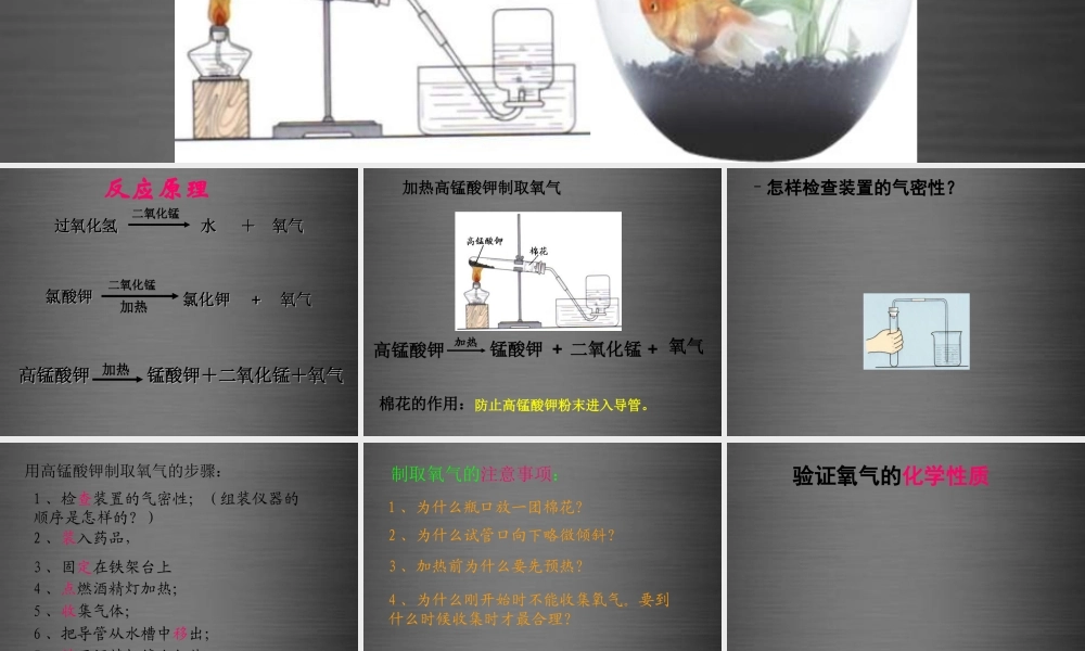 鲁教初中化学九上《4第3节 氧气》PPT课件 (6).ppt