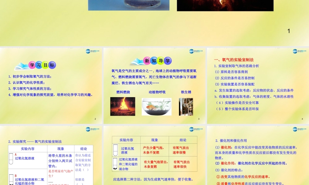 鲁教初中化学九上《4第3节 氧气》PPT课件 (10).ppt