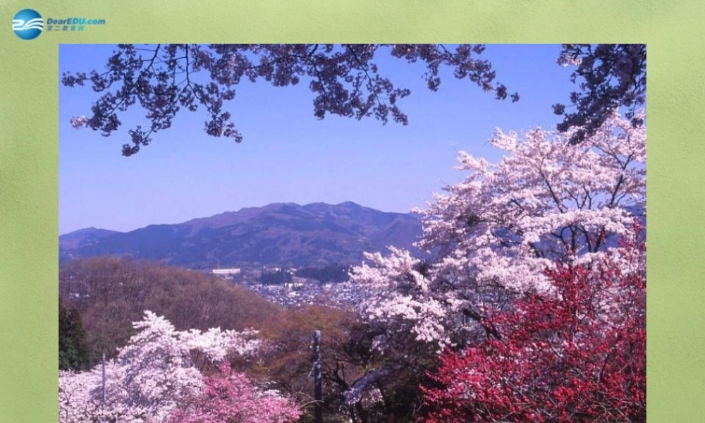 鲁教初中化学九上《4第3节 氧气》PPT课件 (7).ppt