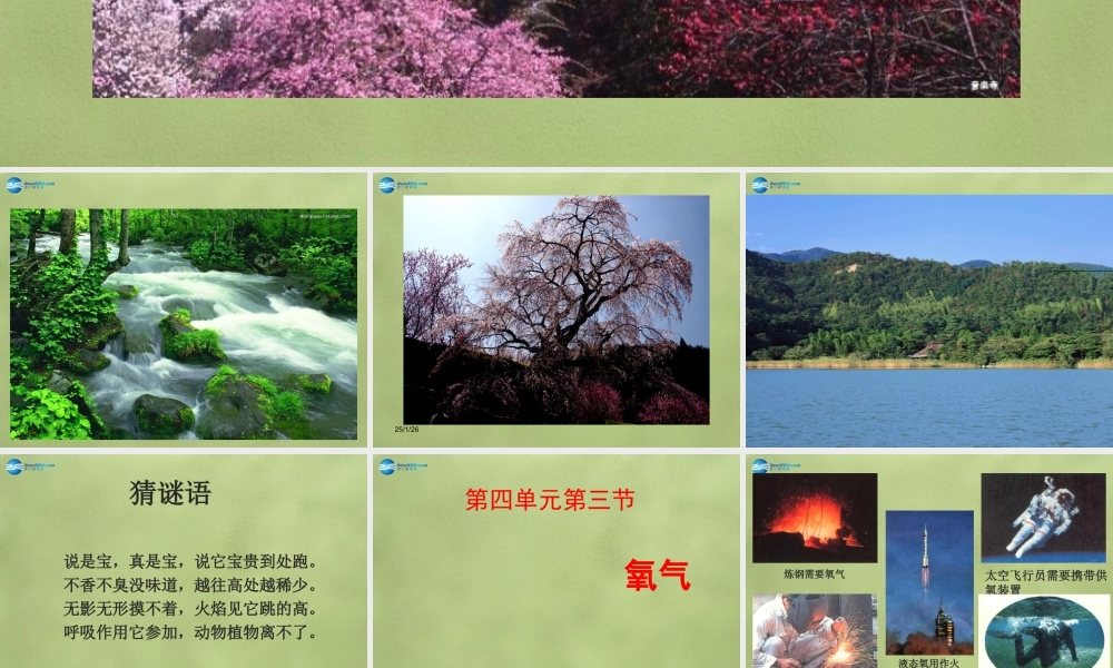 鲁教初中化学九上《4第3节 氧气》PPT课件 (7).ppt