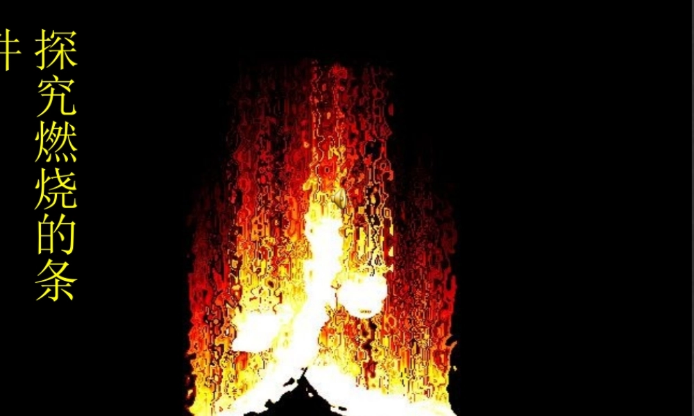 鲁教初中化学九上《5到实验室去：探究燃烧的条件》PPT课件.ppt