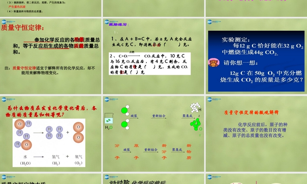 鲁教初中化学九上《5第1节 化学反应中的质量守恒》PPT课件 (4).ppt