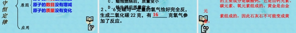 鲁教初中化学九上《5第1节 化学反应中的质量守恒》PPT课件 (6).ppt
