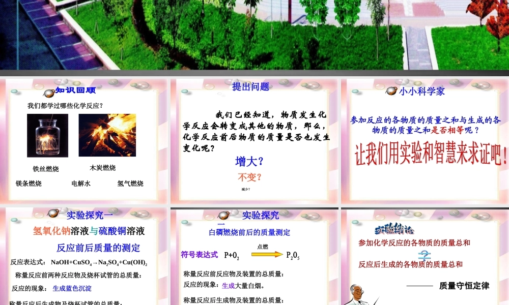 鲁教初中化学九上《5第1节 化学反应中的质量守恒》PPT课件 (7).ppt