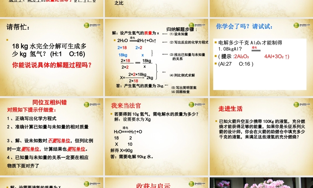 鲁教初中化学九上《5第3节 化学反应中的有关计算》PPT课件 (5).ppt