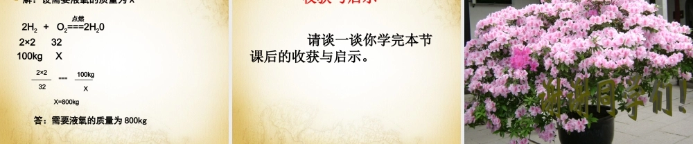 鲁教初中化学九上《5第3节 化学反应中的有关计算》PPT课件 (5).ppt