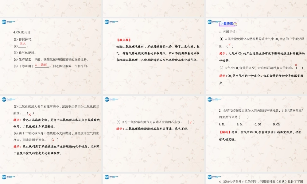 鲁教初中化学九上《6第3节 大自然中的二氧化碳》PPT课件 (2).ppt