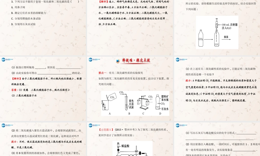 鲁教初中化学九上《6第3节 大自然中的二氧化碳》PPT课件 (2).ppt