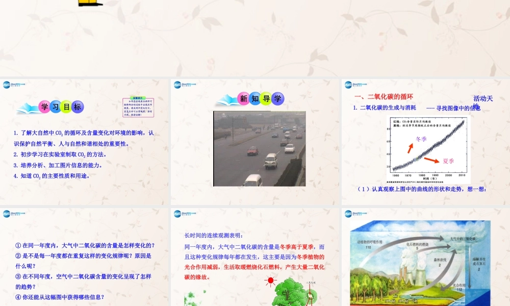 鲁教初中化学九上《6第3节 大自然中的二氧化碳》PPT课件 (3).ppt