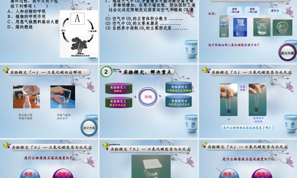 鲁教初中化学九上《6第3节 大自然中的二氧化碳》PPT课件 (1).ppt