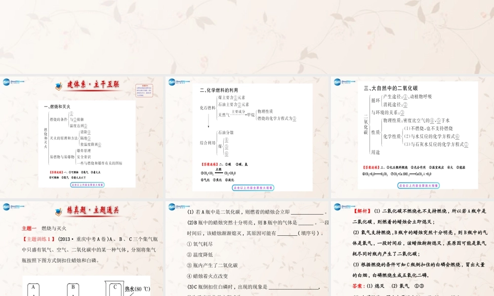 鲁教初中化学九上《6第6单元 燃烧与燃料》PPT课件 (1).ppt