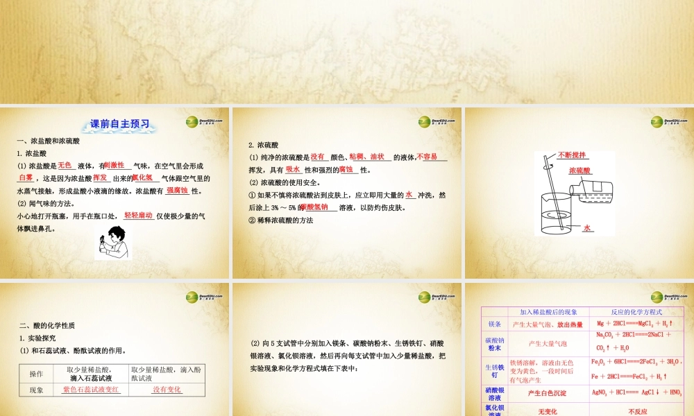 鲁教初中化学九下《7第1节 酸及其性质》PPT课件 (1).ppt