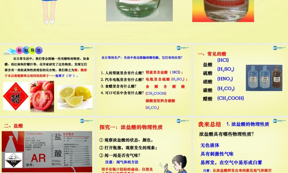 鲁教初中化学九下《7第1节 酸及其性质》PPT课件 (3).ppt