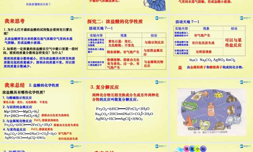 鲁教初中化学九下《7第1节 酸及其性质》PPT课件 (3).ppt