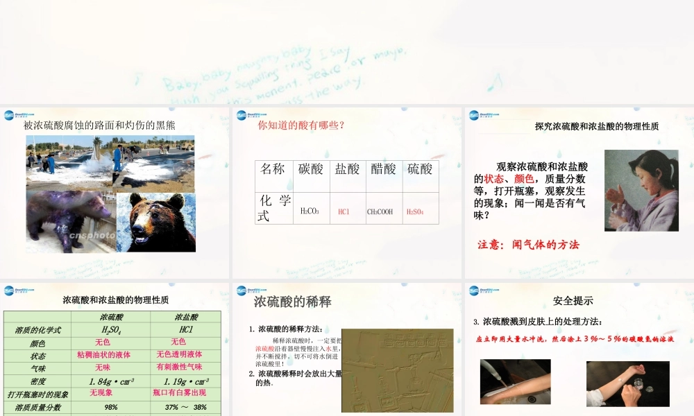 鲁教初中化学九下《7第1节 酸及其性质》PPT课件 (4).ppt