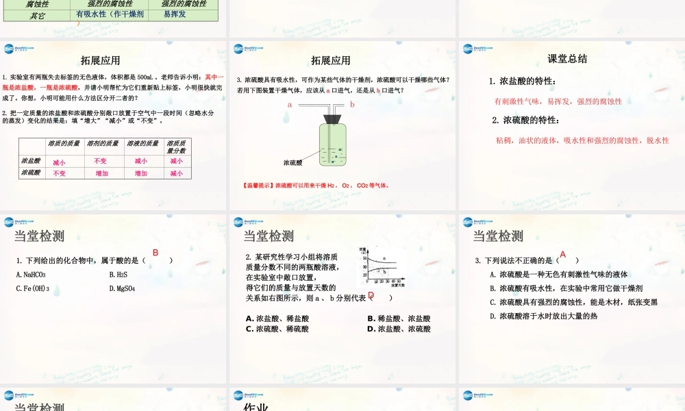 鲁教初中化学九下《7第1节 酸及其性质》PPT课件 (4).ppt