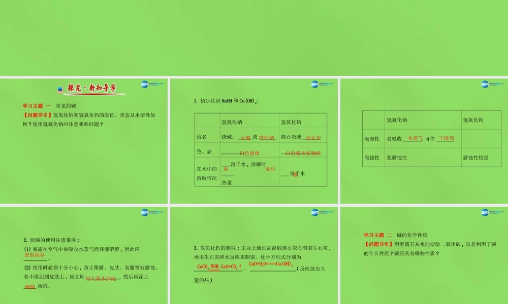 鲁教初中化学九下《7第2节 碱及其性质》PPT课件 (2).ppt