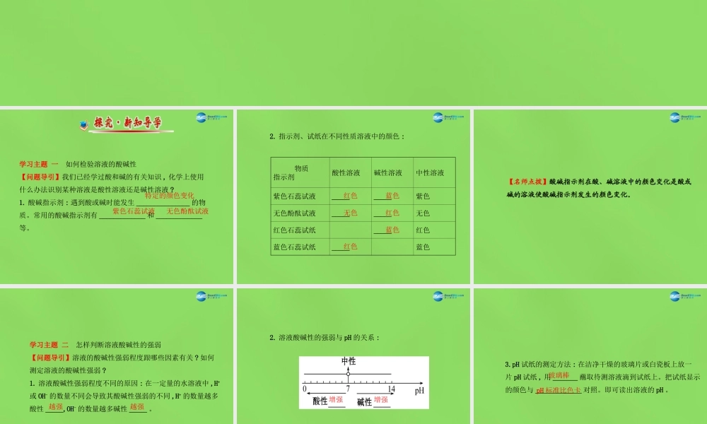 鲁教初中化学九下《7第3节 溶液的酸碱性》PPT课件 (2).ppt
