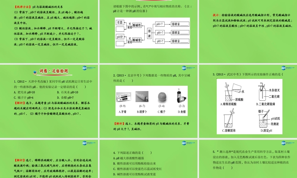 鲁教初中化学九下《7第3节 溶液的酸碱性》PPT课件 (2).ppt