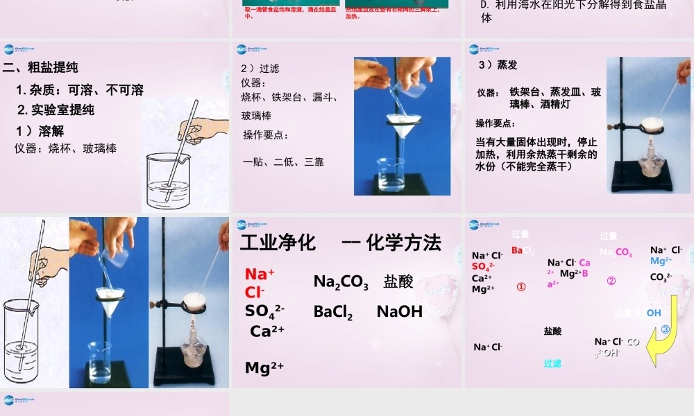 鲁教初中化学九下《8第2节 海水“晒盐“》PPT课件 (4).ppt