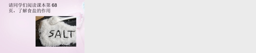 鲁教初中化学九下《8第2节 海水“晒盐“》PPT课件 (4).ppt