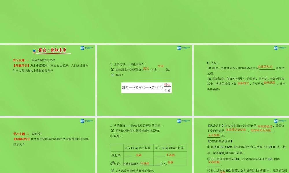 鲁教初中化学九下《8第2节 海水“晒盐“》PPT课件 (2).ppt