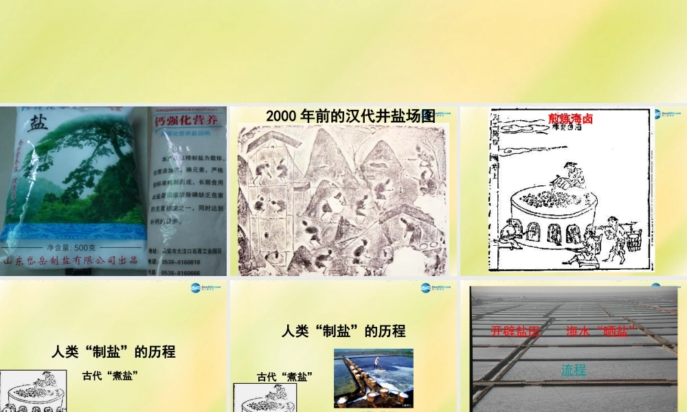 鲁教初中化学九下《8第2节 海水“晒盐“》PPT课件 (7).ppt