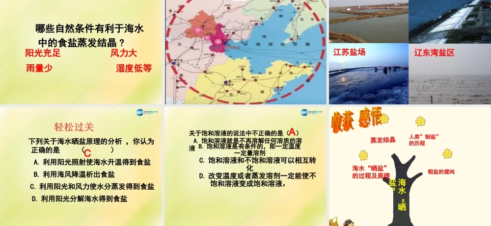 鲁教初中化学九下《8第2节 海水“晒盐“》PPT课件 (7).ppt