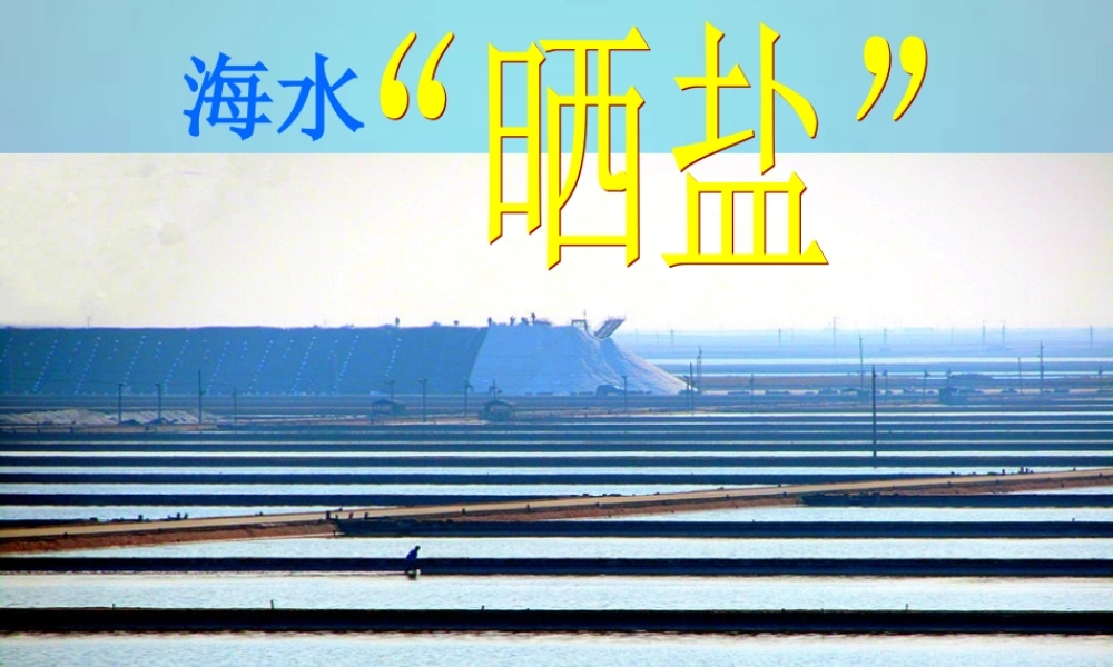 鲁教初中化学九下《8第2节 海水“晒盐“》PPT课件 (6).ppt