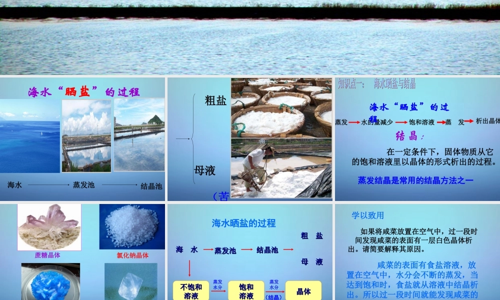 鲁教初中化学九下《8第2节 海水“晒盐“》PPT课件 (6).ppt