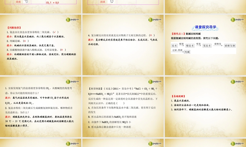 鲁教初中化学九下《8第3节 海水“制碱“》PPT课件 (1).ppt