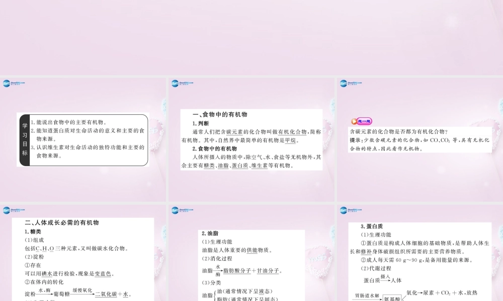 鲁教初中化学九下《10第1节 食物中的有机物》PPT课件 (4).ppt