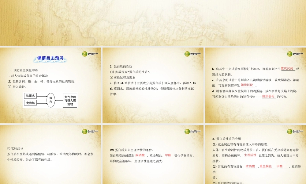 鲁教初中化学九下《10第3节 远离有毒物质》PPT课件 (1).ppt