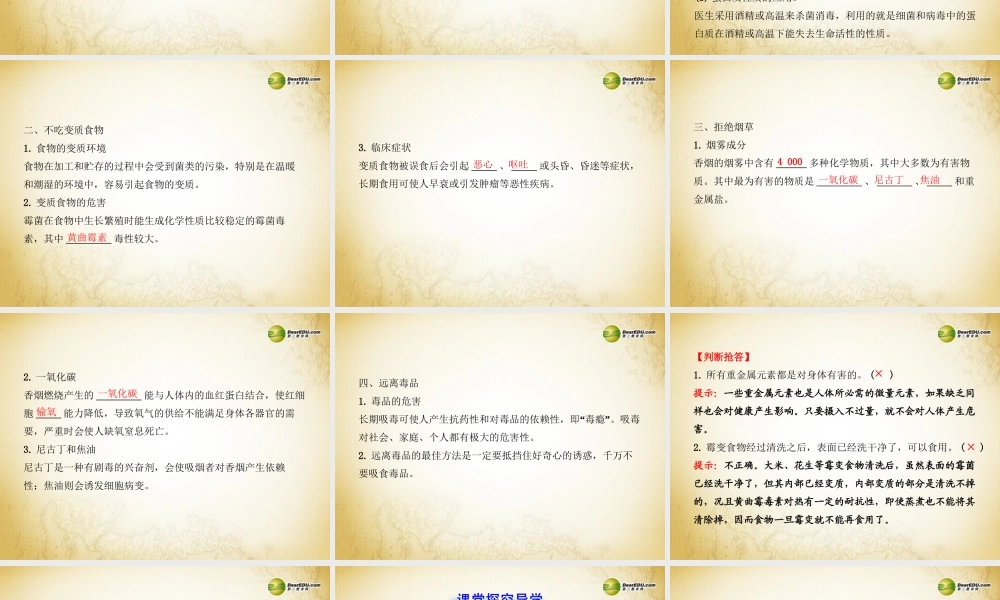 鲁教初中化学九下《10第3节 远离有毒物质》PPT课件 (1).ppt