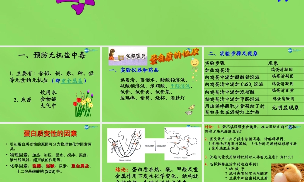 鲁教初中化学九下《10第3节 远离有毒物质》PPT课件 (3).ppt