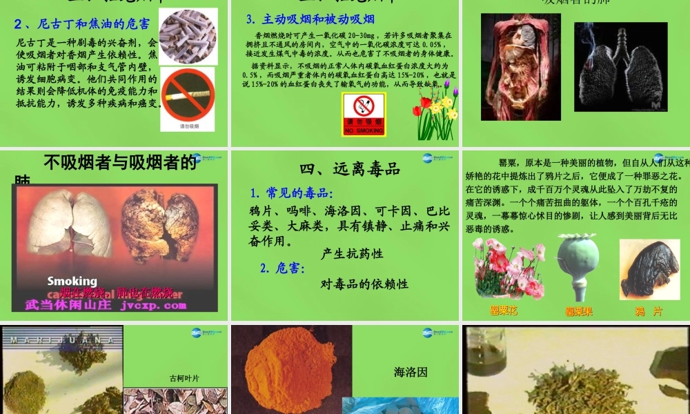 鲁教初中化学九下《10第3节 远离有毒物质》PPT课件 (3).ppt