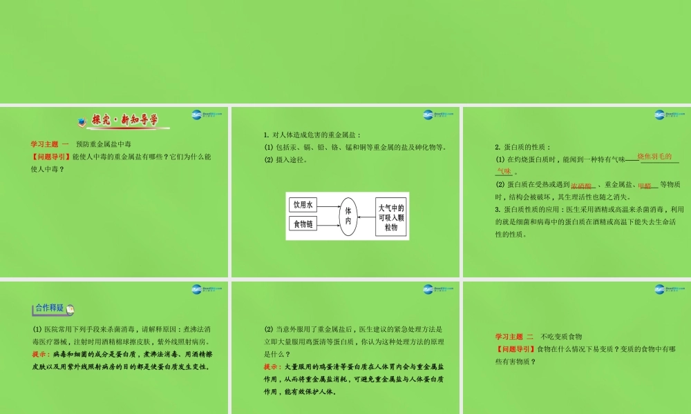 鲁教初中化学九下《10第3节 远离有毒物质》PPT课件 (2).ppt
