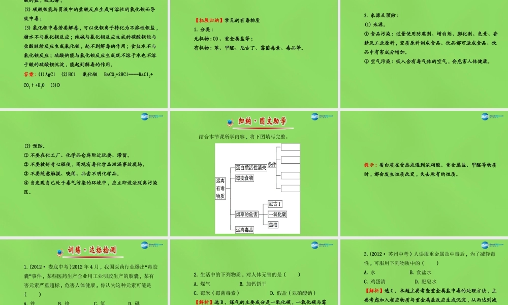 鲁教初中化学九下《10第3节 远离有毒物质》PPT课件 (2).ppt