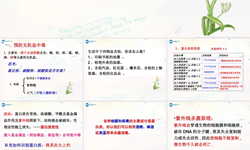 鲁教初中化学九下《10第3节 远离有毒物质》PPT课件 (4).ppt